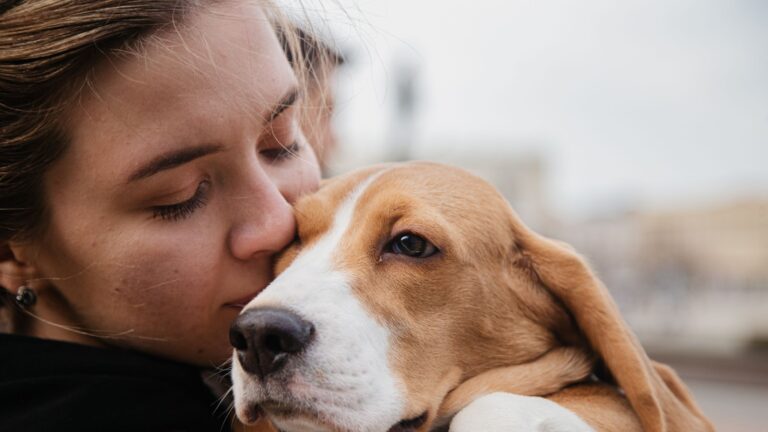 The Perfect Match: Choosing the Right Pet for Your Lifestyle https://www.dealparcel.com